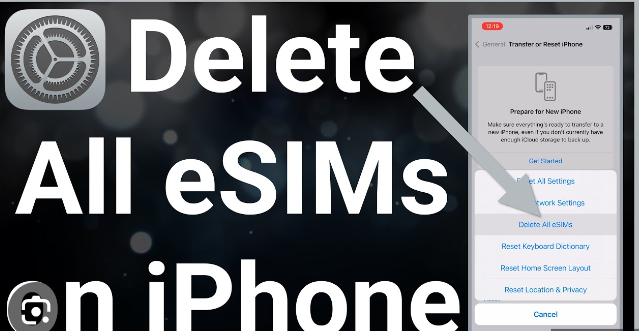 How To Delete eSIM From iPhone